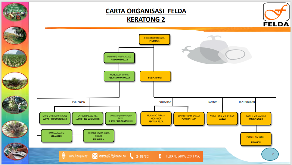 CARTAORGANISASI FELDA